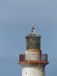 FZ018500 Whitehaven lighthouse.jpg